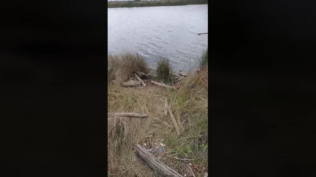 olin1  07-05-2022 Recorded Video big