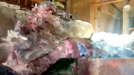 redneck131950  09-05-2022 video love