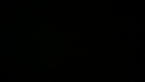 Annu1995  10-05-2022 Recorded Video bigballs