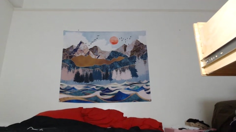 livingclean  10-05-2022 video Cam