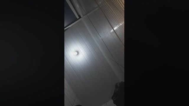 hal4elson  11-05-2022 Recorded Video Ass