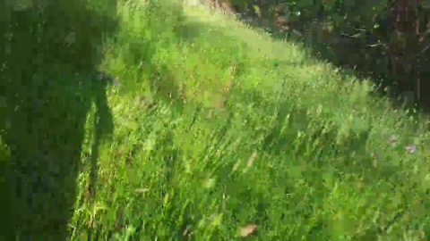 Cuni40  11-05-2022 Recorded Video hardcore