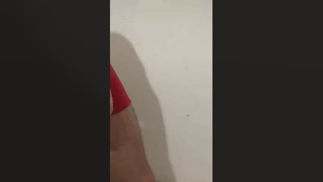 marcopzpz  12-05-2022 Recorded Video oral