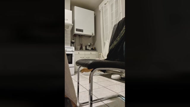 Doperman  13-05-2022 Recorded Video strip