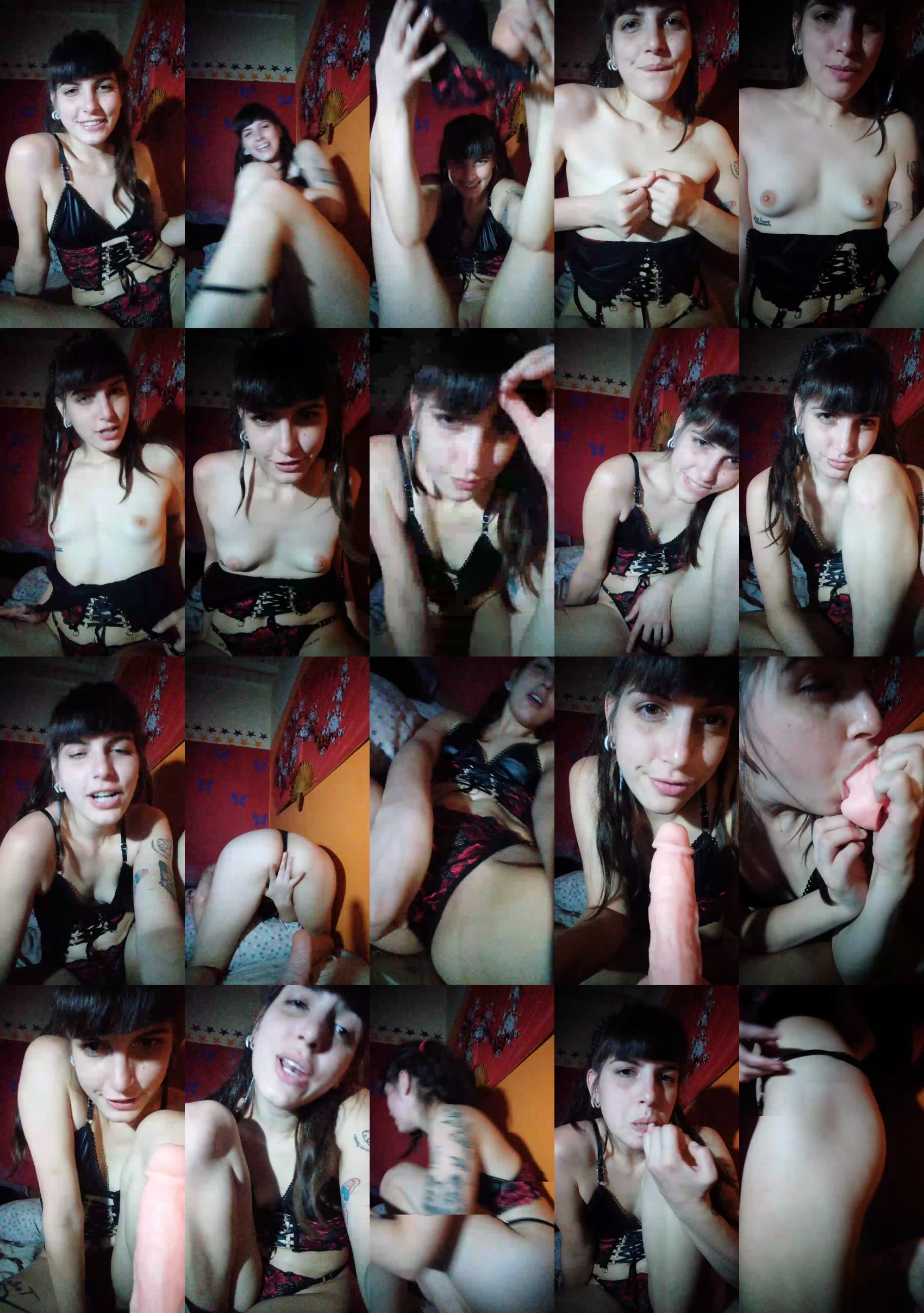 arlequinfun 13-05-2022 amateur 