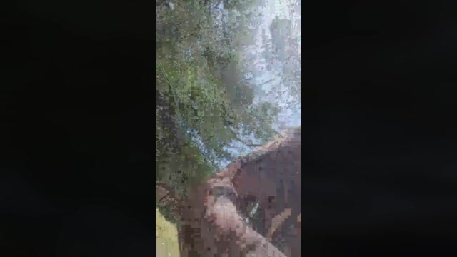 marika043  13-05-2022 Recorded Video cute