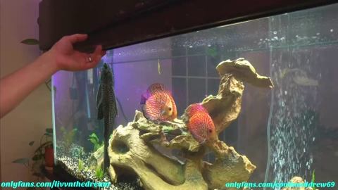 livanddrew  14-05-2022 Cam Couples