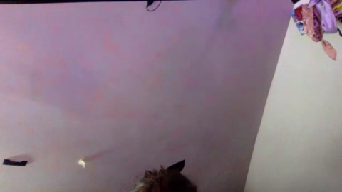 crackedcrypto  15-05-2022 video deep