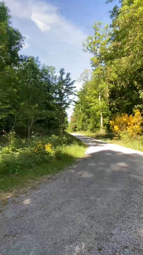 leo20_1_1988  15-05-2022 Recorded Video natural