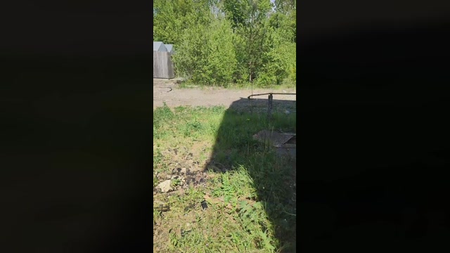 publicexib1  15-05-2022 Recorded Video kissing