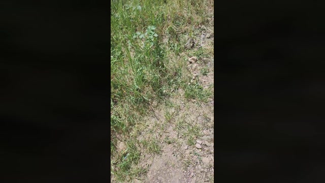 publicexib1  15-05-2022 Recorded Video ass