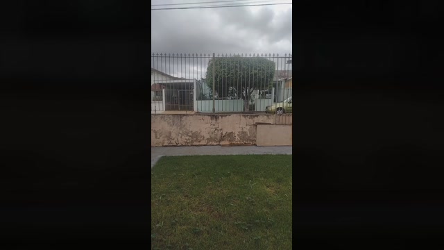 DotadoLeiteiro  15-05-2022 Recorded Video big