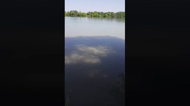 odidonc  16-05-2022 Recorded Video beauty