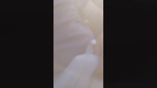 djodjodjo5  16-05-2022 Recorded Video harddick