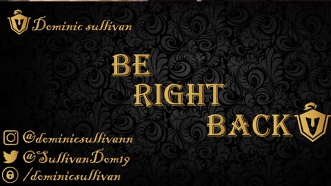 dominic_sullivan1  17-05-2022 video toy