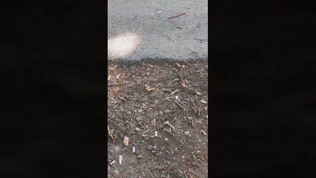 mimi337  18-05-2022 Recorded Video suck