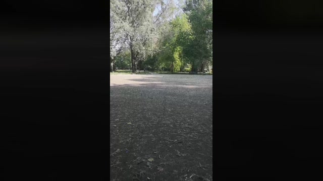 Pagani56  19-05-2022 Recorded Video Ass