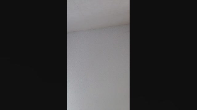 Vitriole  19-05-2022 Recorded Video ass