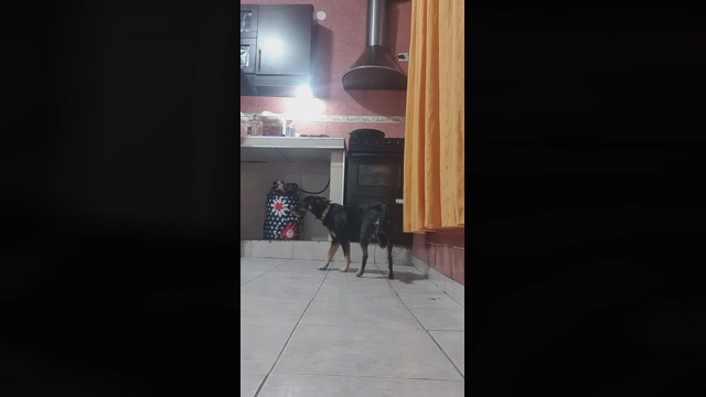 BARBIERIVAS 20-05-2022 Webcam 