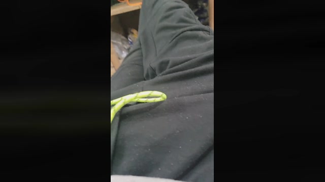 gamerdotado  19-05-2022 Recorded Video ass