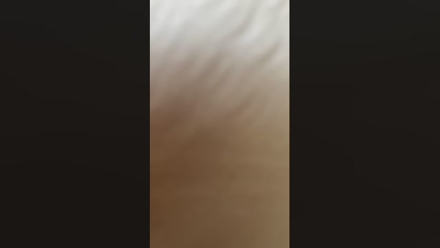 Lunapussy 21-05-2022 show 