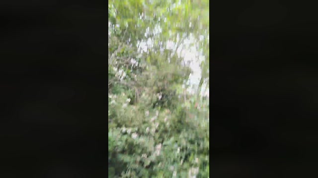 Socke72  21-05-2022 Recorded Video kiss