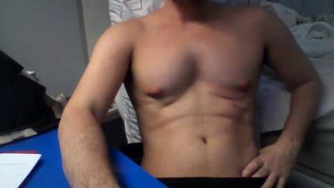 henriquegato1