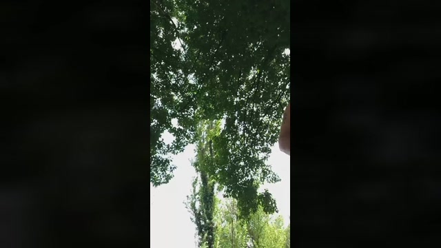 mimi337  22-05-2022 Recorded Video cute