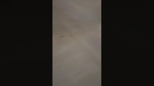 tarcton78  22-05-2022 Recorded Video amateur