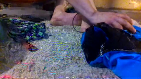 looking2fritz69  23-05-2022 video nasty