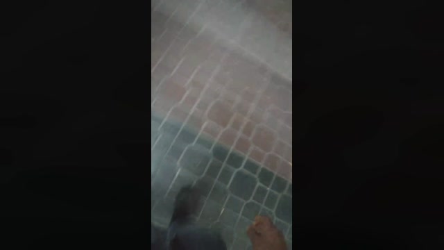 verrgoon  23-05-2022 Recorded Video yummy