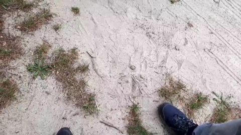 Cuni40  23-05-2022 Recorded Video big