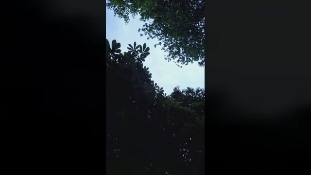 Doperman  23-05-2022 Recorded Video analsex