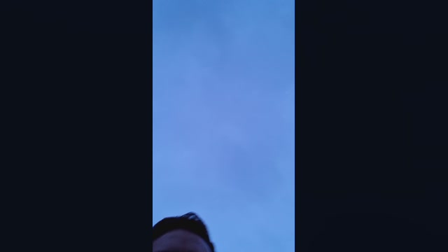 Doperman  23-05-2022 Recorded Video cute