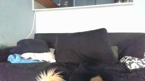Jean_2923  23-05-2022 Recorded Video bigass