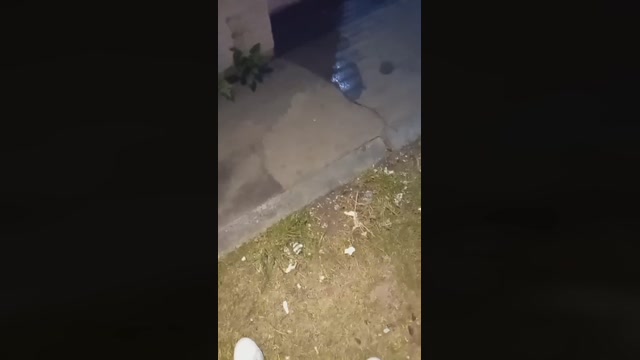 ubergostoso  24-05-2022 Recorded Video harddick