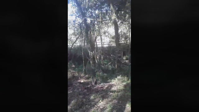 Alanbrctba  24-05-2022 Recorded Video bigdick