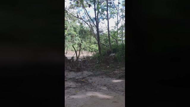Florecita_Piss 24-05-2022 blowjob 