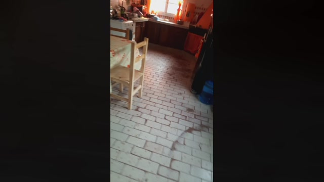 Hecwil81  24-05-2022 Recorded Video Porn