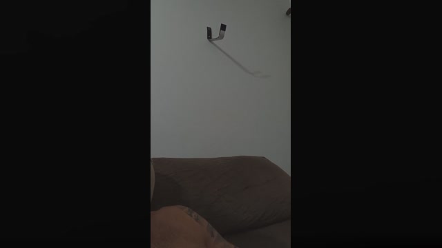 Profsafa  25-05-2022 Recorded Video Video