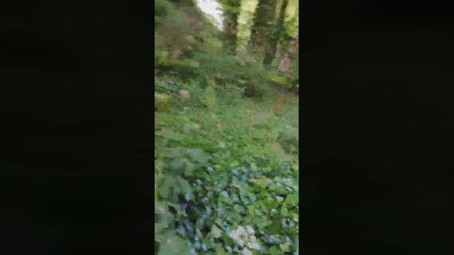 cutaboverest  24-05-2022 Recorded Video bj-dildo