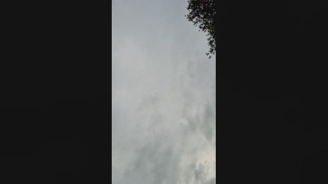 Doperman  25-05-2022 Recorded Video natural