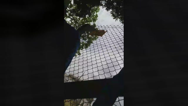 Pauloamarac  27-05-2022 Recorded Video twink