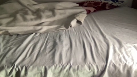 bestdick1991  28-05-2022 video lush