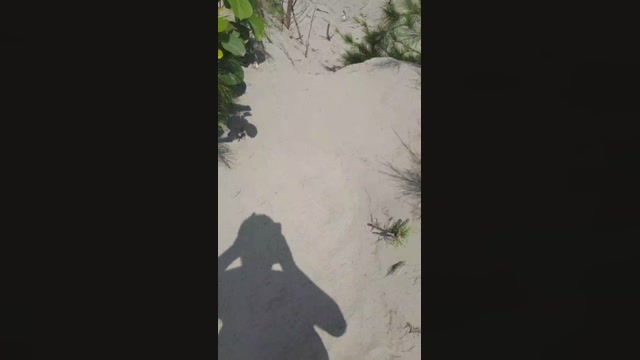 tarcton78  29-05-2022 Recorded Video big