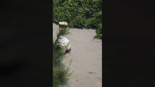 tarcton78  29-05-2022 Recorded Video jerkoff