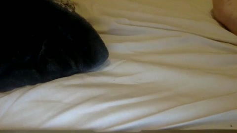 twinkietot420  29-05-2022 video Webcam