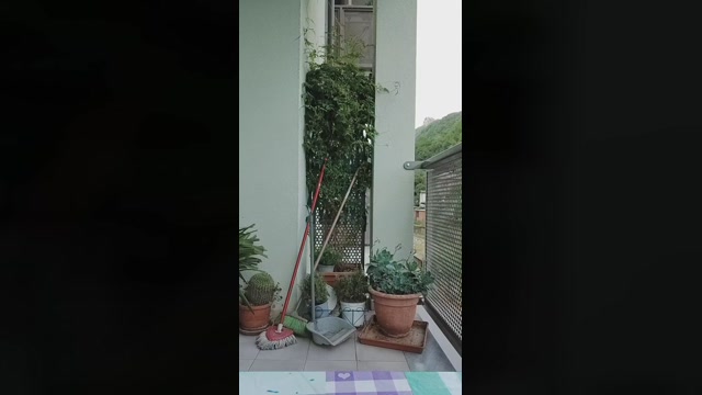 Thedottor  30-05-2022 Recorded Video bigass