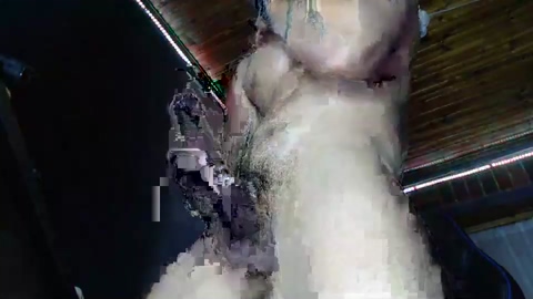 charlie_hotx  30-05-2022 video handsome