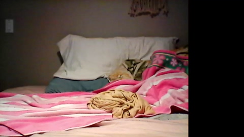 smthingclever  29-05-2022 video cute